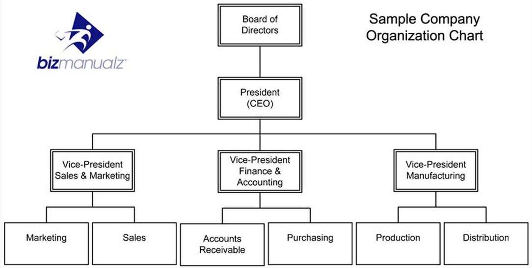 department organization chart template